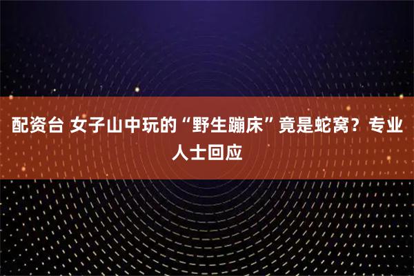 配资台 女子山中玩的“野生蹦床”竟是蛇窝？专业人士回应